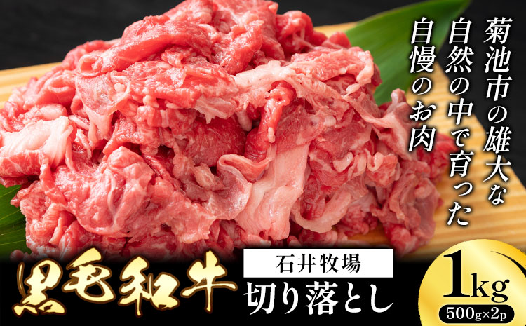 黒毛和牛 切り落とし 約1kg 500g×2パック 牛肉 《90日以内に出荷予定(土日祝除く)》