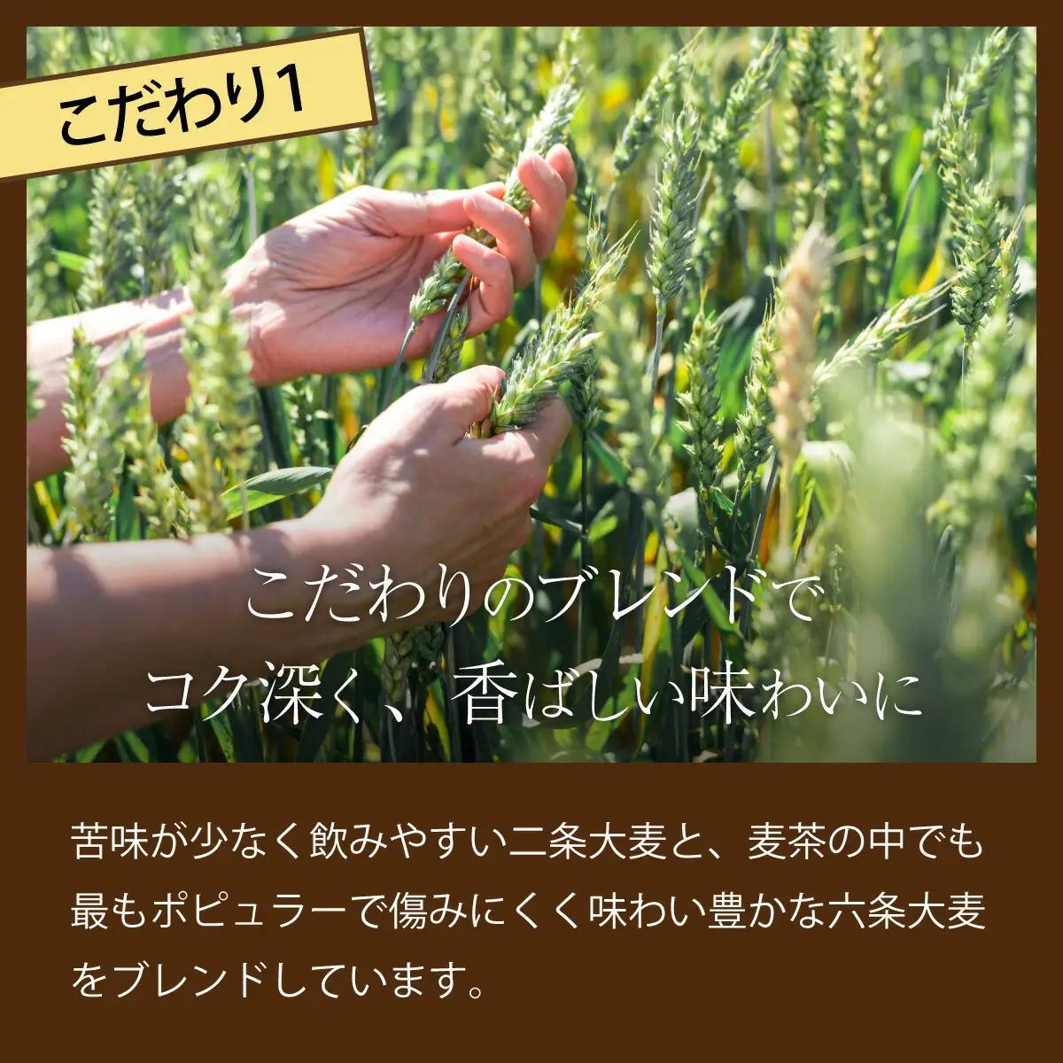 【定期便12ヶ月】おいしい麦茶600ml×24本（お茶）［お茶］