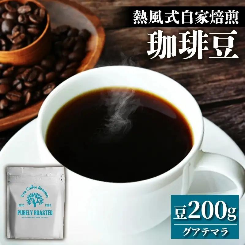 【完全受注焙煎】Tree Coffee Roasters「グアテマラ アンティグア レタナ ハイロースト」 200g - コーヒー 豆 自家焙煎 熱風式焙煎 贈り物