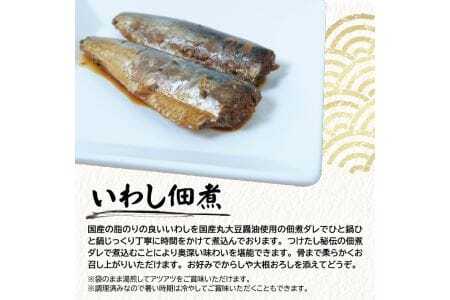 787　じっくりコトコト丁寧に煮込んだ「国産いわしの佃煮」2尾×10パック