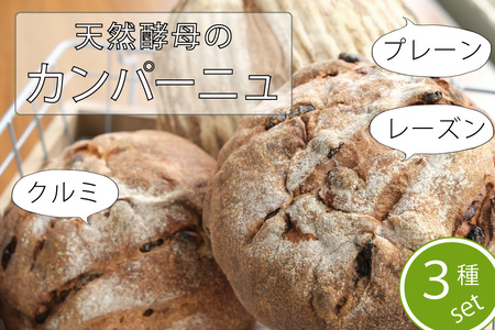 黒姫高原『パン小舎（pangoya）のカンパーニュ＆レーズンとくるみのパン  3点詰め合わせ』自家製天然酵母パン｜信濃町産ゆめちから/長野県産ゆめかおり使用【ふるさと納税】　