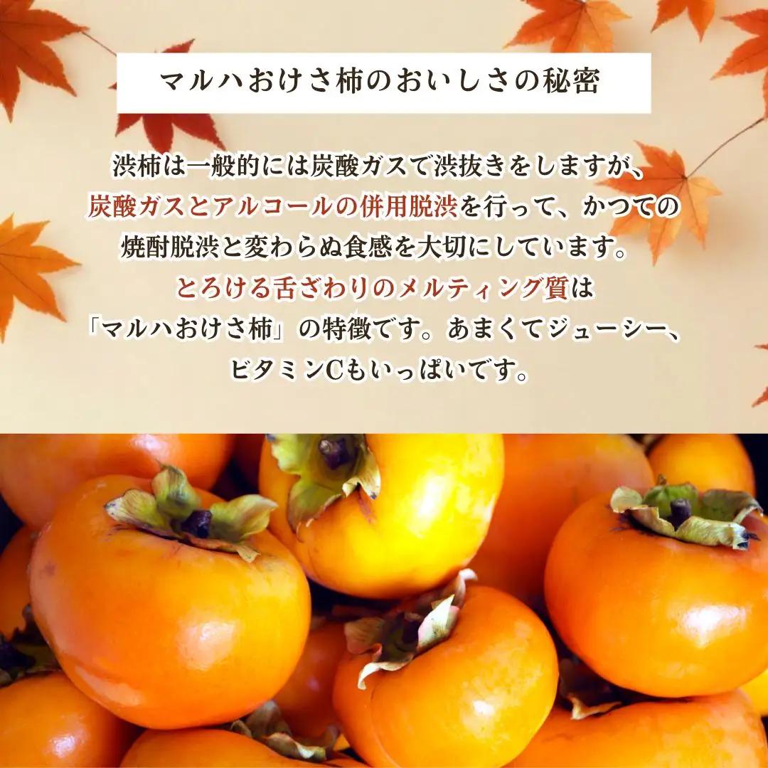 【先行予約】おけさ柿 約5kg 家庭用（25?31個） | 新潟県 佐渡市柿