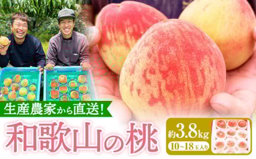 桃 和歌山県産の桃 約3.8kg (10~18玉) GREEN JUNCTION株式会社《2025年6月中旬-2025年8月末頃出荷》和歌山県 紀の川市 桃 果物 果実 フルーツ 自然栽培 送料無料