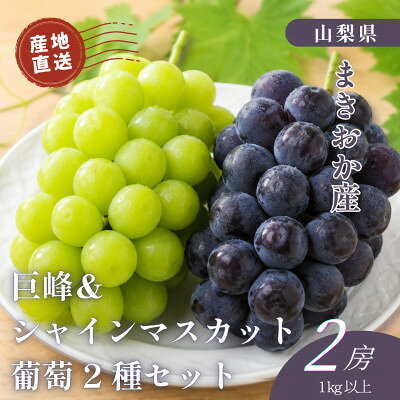 【ふるさと納税】山梨県まきおか産　巨峰・シャインマスカット　葡萄2種セット【配送不可地域：離島・沖縄県】【1756896】