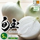 【ふるさと納税】高評価☆5.00 とにかく甘い 新玉ねぎ 旬玉 5kg サイズ 混合 JGAP認証農場 神重農産 ブランド玉ねぎ 生がおいしい フレッシュ みずみずしい ミネラル 玉ねぎ オニオン 野菜 サラダ 玉ねぎステーキ オニオンスープ お取り寄せ 愛知県 碧南市 送料無料