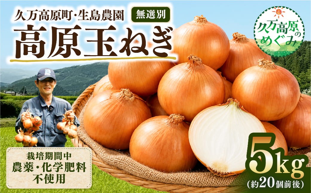 
                  【先行予約】高原育ち 玉ねぎ 5kg（約20個前後）｜栽培期間中 農薬・化学肥料不使用｜久万高原町 生島農園   ※2026年6月～発送
                