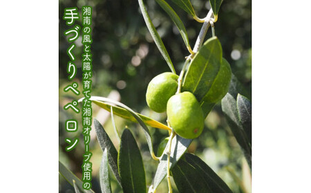 しいたけペペロン　4個セット【 家庭用 自宅用 贈答品 贈答用 ギフト お取り寄せ お中元 お歳暮 贈り物 お祝い 神奈川県 小田原市 】