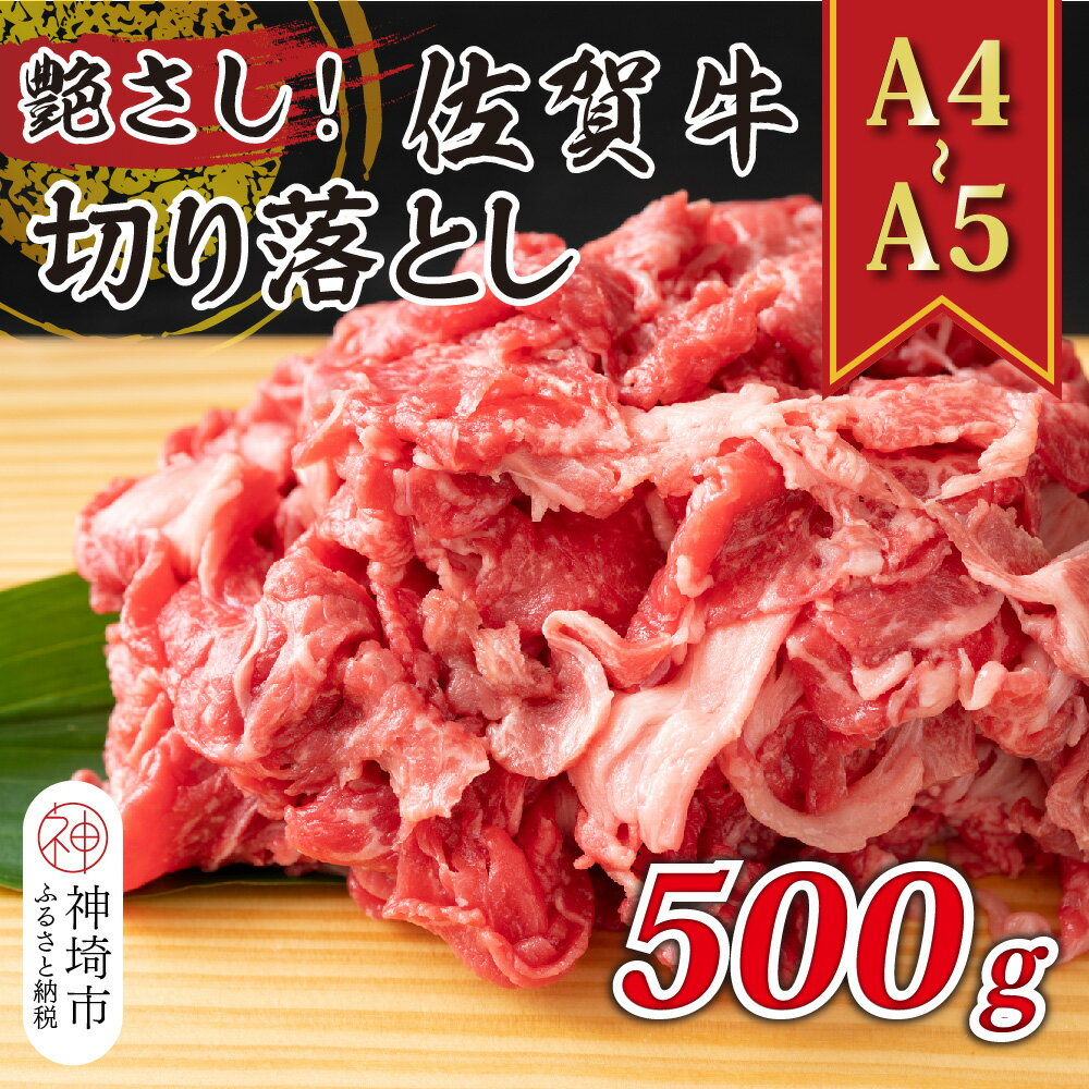 【ふるさと納税】艶さし！【A4～A5】佐賀牛切り落とし 500g【肉 牛肉 ブランド牛 黒毛和牛 ふるさと納税】(H112143)