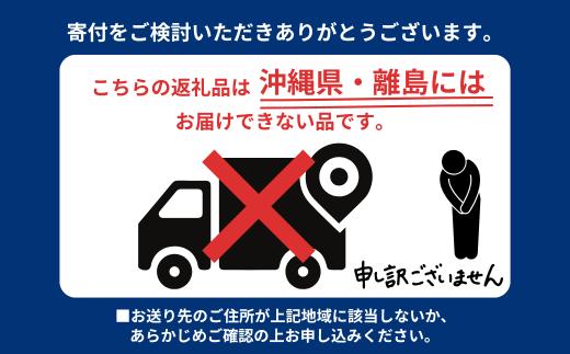 先行予約 桃 約3kg 令和8年度 贈答用 新潟県 三条市産 もも  [三条果樹専門家集団] 【017P014】