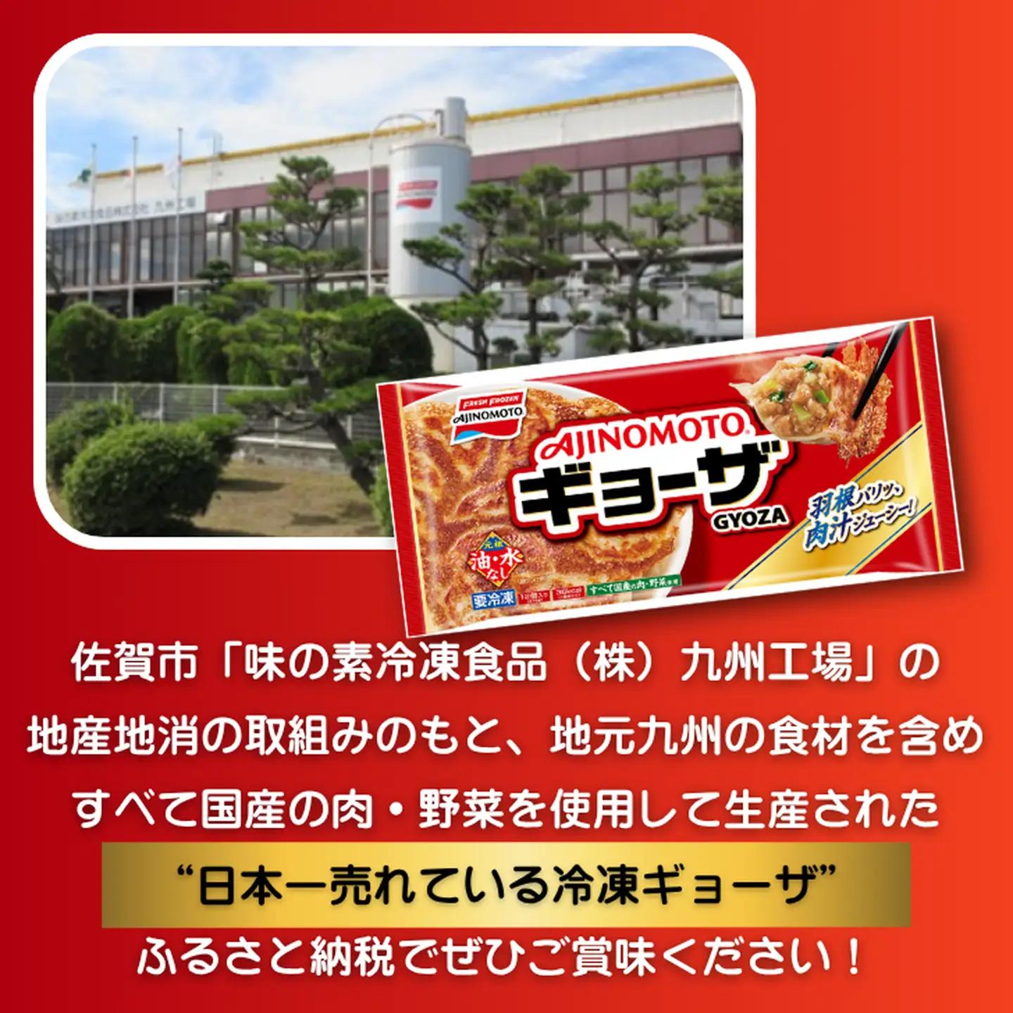 AJINOMOTO冷凍ギョーザ 計120個 ギョーザ 10袋