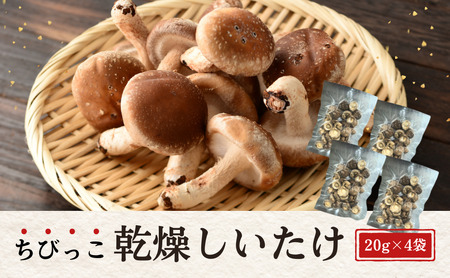 大分県産 しいたけ 津久見で育てたちびっこ乾燥しいたけ 15g×4袋