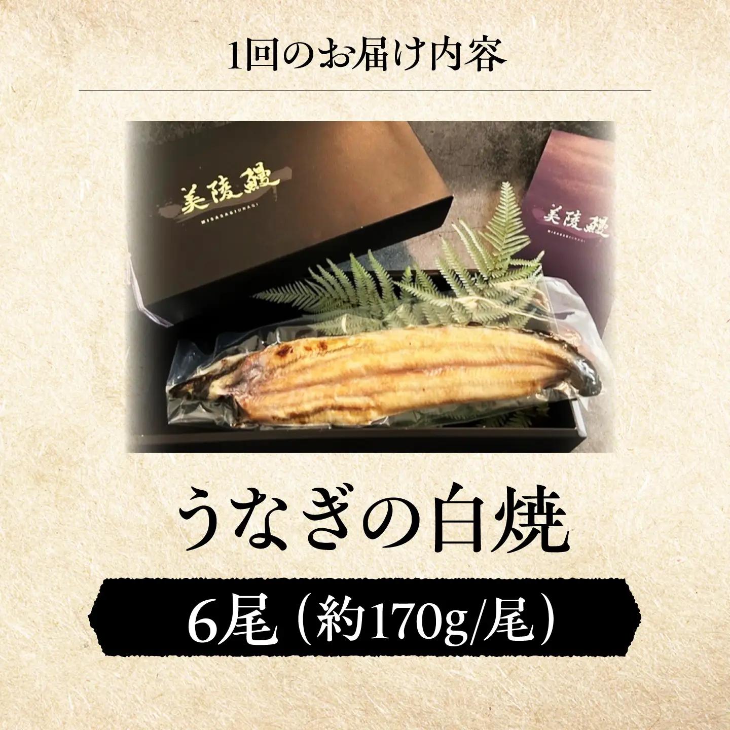 【全12回定期便】 鰻 美陵鰻の白焼 6尾 / 美陵鰻 鰻 うなぎ ウナギ 蒲焼 蒲焼き かば焼き かばやき 白焼き 白焼 肉厚 うな重 うな丼 惣菜 おかず 山椒 国産 スタミナ 土用 丑の日 ギフ