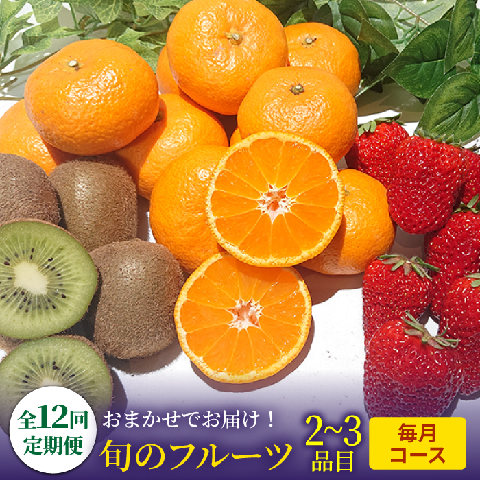 【12回 定期便】季節の果物 詰め合わせ フルーツセット 旬の果物をお任せで2～3品目お届け  （2～3品目×12回）  / 果物 セット 南島原市 / 吉岡青果 [SCZ014]