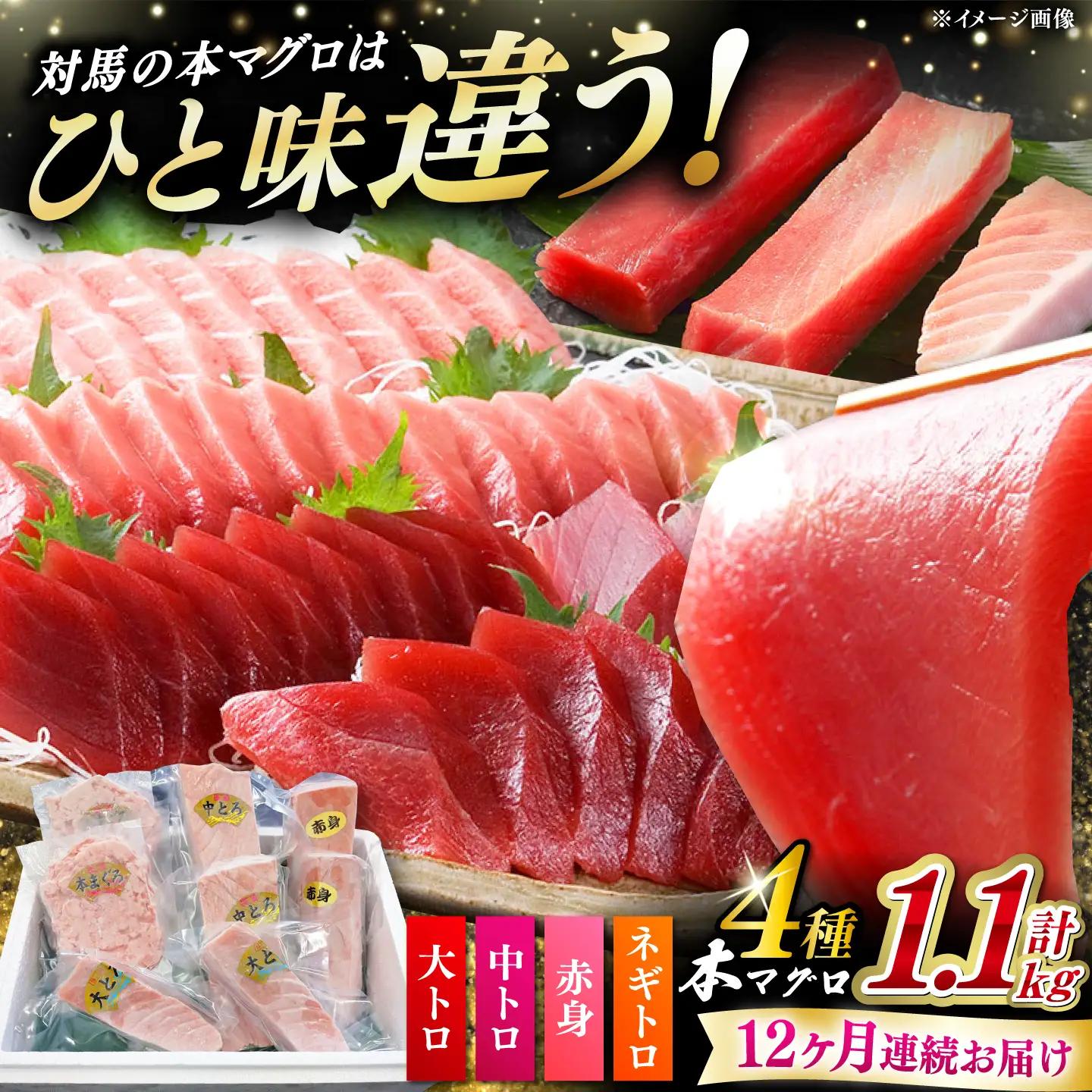 【全12回定期便】 対馬産 本マグロ 4種 計1.1kg（赤身/中トロ/大トロ/ネギトロ）[WAH039] マグロ まぐろ トロ