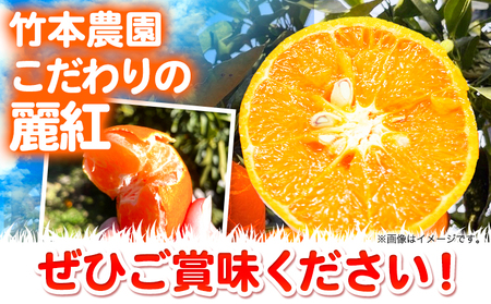 麗紅 約2kg みかん 麗紅