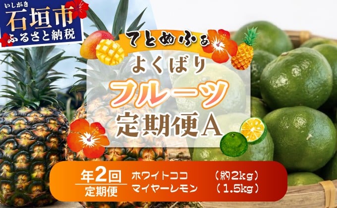 
            《年２回発送》島のおいしいを贅沢に！某TV番組で紹介された希少なホワイトココと青切りマイヤーレモンのよくばり定期便！
          