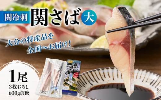 関冷刺 関さば（大） 魚 刺身 大分県 サバ 新鮮 佐賀関 豊後 魚介類 海鮮丼 冷凍 E04002