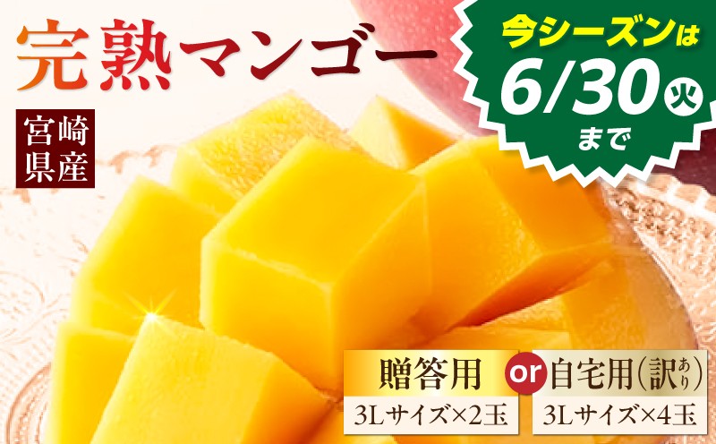 
                  《2026年発送》【贈答用or自宅用(訳あり)】【数量・期間限定】La Brilliant Mango| 訳あり 2個 2玉 4個 4玉 贈答 自宅用 家庭用 宮崎 宮崎マンゴー 果物類 果物 くだもの フルーツ デザート マンゴー 完熟 完熟マンゴー グルメ お土産 手土産 お取り寄せ お取り寄せグルメ 人気 おすすめ 宮崎県 宮崎市 |_M307-005-SKU
                
