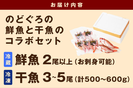 のどぐろの鮮魚と干魚のコラボセット 魚介類 魚介 魚 のどぐろ 干物 鮮魚 一夜干し お刺身 セット 【096_1696】