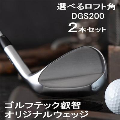 ふるさと納税 市川町 叡智オリジナルウェッジ2本セット(DGS200) 088BD04N
