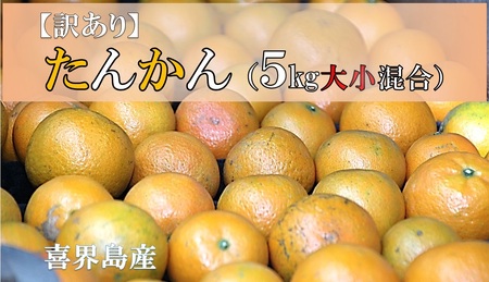 【訳あり】たんかん(5Kg大小混合)【2月上旬頃から発送】