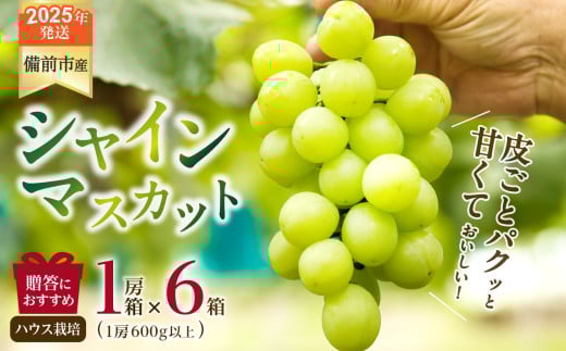 【2025年発送】びぜん葡萄「シャインマスカット」（ハウス栽培）1房入×6箱セット【 岡山県備前市産 シャインマスカット ハウス栽培 1房入×6箱セット 樹上完熟 】
