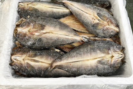 真ほっけ開き 35枚入 干物 ほっけ 開き 国産 ひもの 大洗町 大洗 魚 さかな 魚介類 冷凍 工場直送 おかず おつまみ_AL039