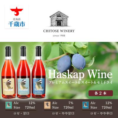 ふるさと納税 千歳市 千歳ワイナリー ハスカップのワイン3種720ml×各2本