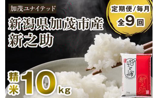 【令和7年産新米先行予約】【定期便9ヶ月毎月お届け】新潟県産 新之助 精米10kg 《5kg×2袋》《10月上旬から順次発送》 新潟 ブランド米 加茂市 加茂ユナイテッド