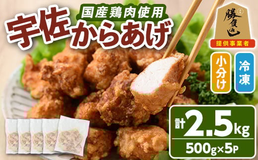 
サクッとジューシー宇佐から揚げセット(計2.5kg・500g×5P)唐揚げ から揚げ 簡単 冷凍 惣菜 お弁当 おかず おつまみ 揚げるだけ セット【102000700】【サンセイ　安心院ソーセージ】
