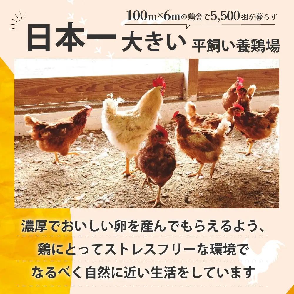 たまご屋さんのギフトセット 平飼い 有精卵