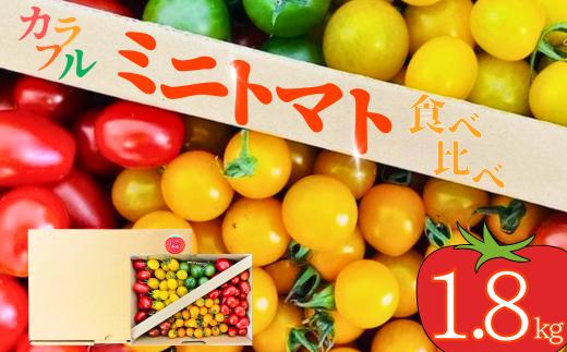 ミニトマト 【先行予約】【まこっこ農園】食べることが楽しくなる、カラフルミニトマト！ 約1.8kg (3~5種入り) 【ミニトマト みにとまと ミニとまと みにトマト カラフルミニトマト ミニトマトセット トマト詰め合わせ 食べ比べトマト とまと 約1.8kg 甘いトマト 新鮮野菜 産地直送 山水育ち 初夏の味覚 個性派トマト お取り寄せ野菜 トマトギフト サラダ用トマト 家庭用野菜 季節の野菜】