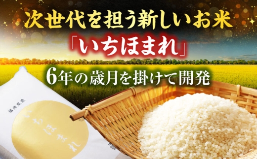 【11月発送】  福井県産 いちほまれ 精米 (白米) 10kg 福井自慢のブランド米 一等級　福井県米 / コシヒカリ発祥 ブランド 特A常連 小浜市 / 若狭ふれあい市場 [BFEL046]