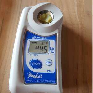 【驚異の最高糖度50度超え】ギリギリまで糖化させた幻のシャトーブリアン焼き芋2025年2月上旬～発送【配送不可地域：離島】【1586926】