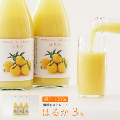 
            無添加 はるか ジュース 720ml 3本 ストレート 果汁 100% 柑橘 かんきつ 果物 くだもの 国産 こくさん フルーツ おやつ デザート 飲料 果汁 搾汁 厳選 瓶 瓶ジュース アレンジ アイス 減農薬 よりすぐり 人気 ランキング 春 夏 秋 冬 子供 から 大人 蜜柑 みかん ビタミン 美味しい みかん職人武田屋 愛媛県 愛南町（発送期間：2025年2月中旬以降順次発送
          