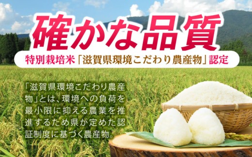 滋賀県 低農薬栽培 ミルキークイーン 白米 5kg 米 お米 白米 ご飯 ごはん ゴハン 人気 おすすめ 5キロ