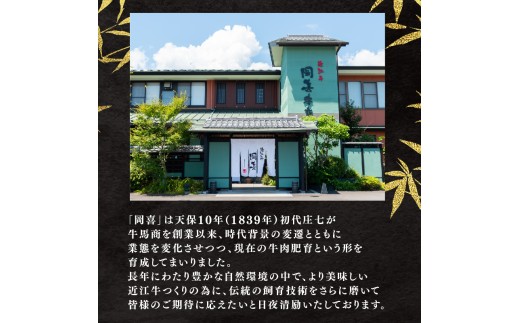 【レンジ対応可】 近江牛 入り ハンバーグまろやかやさしいクリームシチュー 12個×12回 12ヶ月定期便 岡喜
