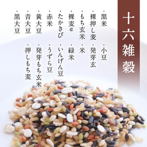 【予約受付中】【10月中旬以降発送】【お試し】十六雑穀ごはん 160g×12個 パックご飯 パックごはん 雑穀 雑穀パックごはん 玄米 コシヒカリ こしひかり おこめのみかた 電子レンジ レトルト 鳥