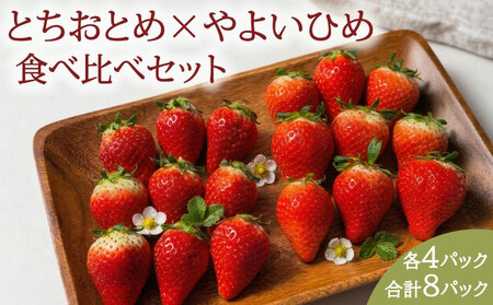 先行予約 いちご とちおとめ やよいひめ 約250g×8パック 計2㎏ いちご
