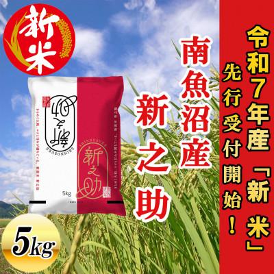 ふるさと納税 南魚沼市 【先行受付】南魚沼産新之助5kg&lt;2025年11月上旬発送開始予定&gt;