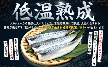 【定期便 毎月3回】 塩サバフィレ 計:9kg ※1回あたり3kg 冷凍 鯖 塩 さば 魚 塩さば さかな 海産物 おかず 鯖ご飯 魚介 海鮮 惣菜 塩サバ 塩鯖 焼き鯖 サバ 焼きさば 焼さば 南知