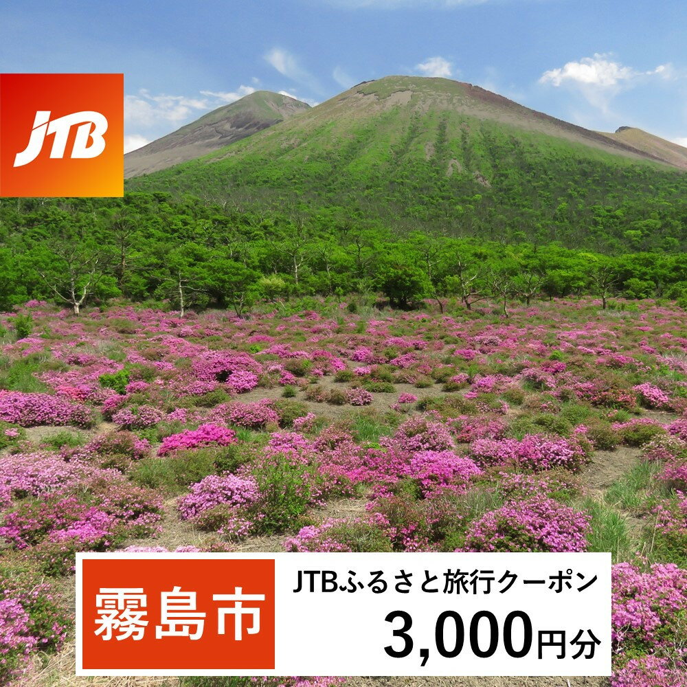 【ふるさと納税】鹿児島県霧島市 JTBふるさと旅行クーポン3,000円分(Eメール発行) チケット 旅行 宿泊券 ホテル 観光 旅行券 体験 宿泊 夏休み 冬休み 家族旅行 一人旅 トラベルクーポン 霧島【JTB ふるさと開発事業部】