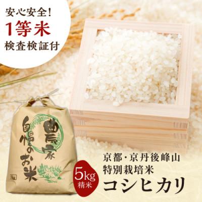 ふるさと納税 京丹後市 2025年産 京都・京丹後峰山 特別栽培米コシヒカリ 5kg 【白米】 1等米 検査済証付