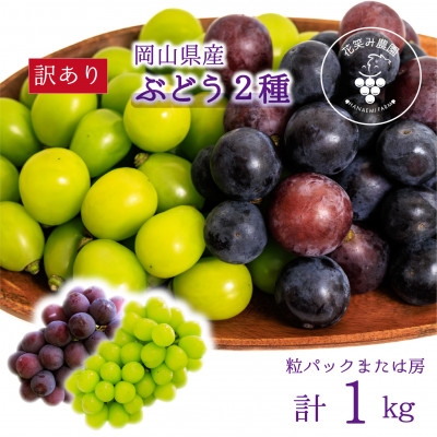 
            ＜2026年先行受付＞岡山　花笑み農園のブドウ『訳あり2種MIX』1kg　W2M-1【1650786】
          