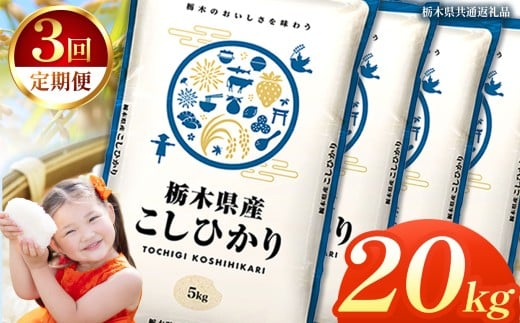 【定期便3回】栃木県産コシヒカリ 20kg | 2025年 2025年米 令和7年米 秋 白米 ごはん ご飯 小分け 人気 おいしい 旨い おにぎり おむすび お弁当 限定 栃木県共通返礼品 栃木県 下野市 送料無料