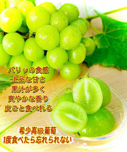 岡山県産シャインマスカットＪｅｗｅｌｒｙ ｂｏｘ赤化粧箱入り18粒贈答用