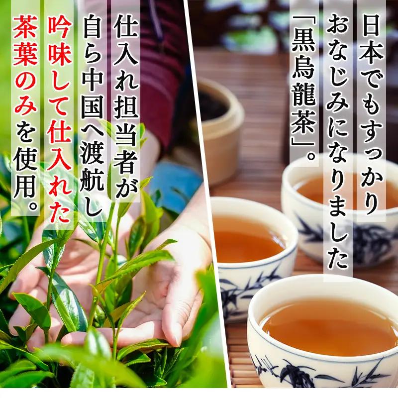 「全6回定期便」黒烏龍茶(50P×6本セット)×6回  2ヶ月に1回お届け 