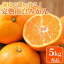 【ふるさと納税】★薄皮で濃い甘さ！完熟由良みかん【秀】5kg×1箱（混サイズ）和歌山県由良産 | みかん 和歌山 完熟 薄皮 濃厚 甘い 秀 サイズ混合 おまかせ 5kg 和歌山県 由良町 柑橘 くだもの 果物 フルーツ 故郷 ふるさと納税