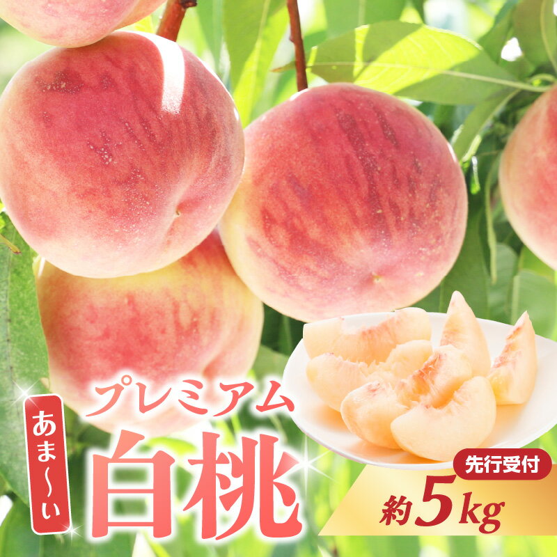 【ふるさと納税】 ≪先行受付≫ 甘〜い プレミアム白桃 約5kg【2025年8月中旬頃〜発送予定】 レビューキャンペーン