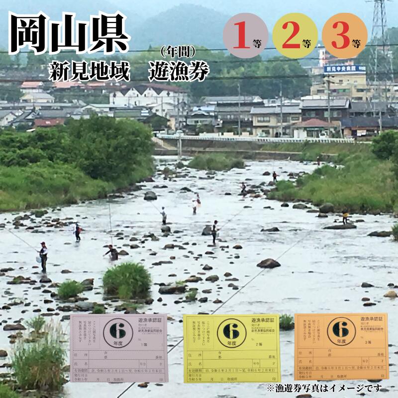 【ふるさと納税】【2025年3月～2026年2月有効期限】選べる 入漁券 岡山県 新見市内 新見地域 遊漁券 遊漁承認証 年間 1等 2等 3等 アマゴ ニジマス アユ ハエ ワカサギ コイ ウナギ 竿釣り 待網 丸たも ウナギかごづけ 夜ぼり つけ針